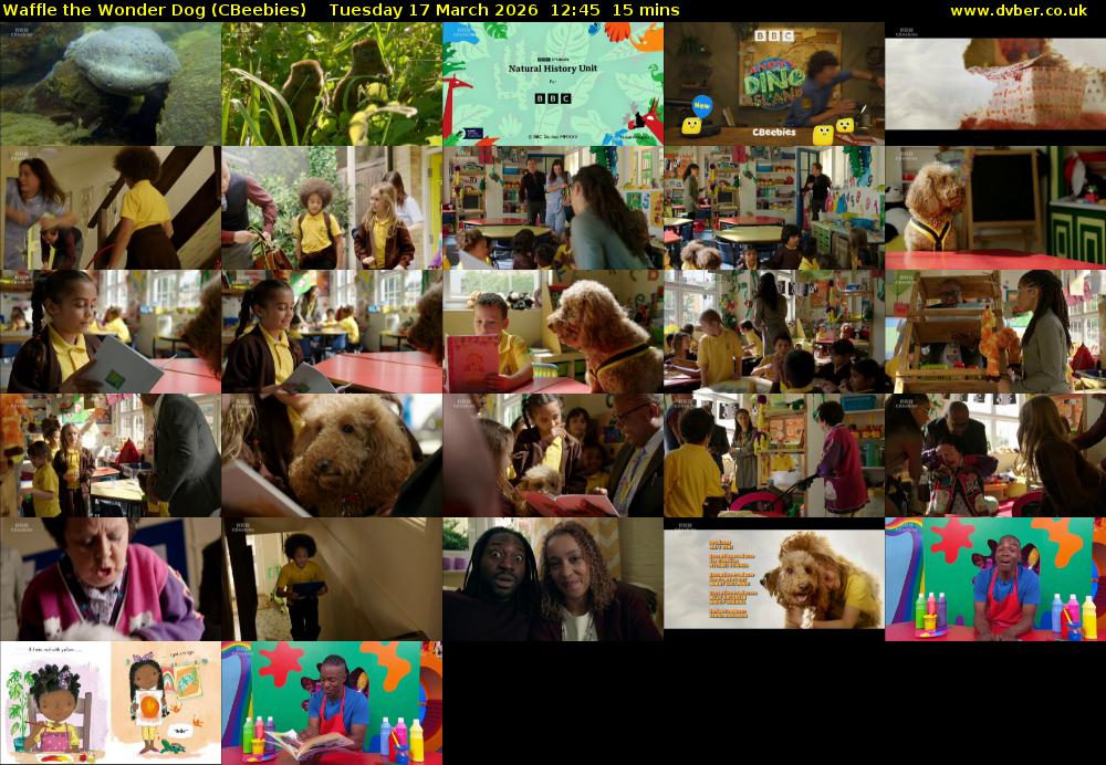Waffle the Wonder Dog (CBeebies) Tuesday 17 March 2026 12:45 - 13:00