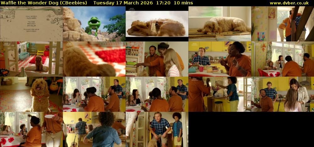 Waffle the Wonder Dog (CBeebies) Tuesday 17 March 2026 17:20 - 17:30
