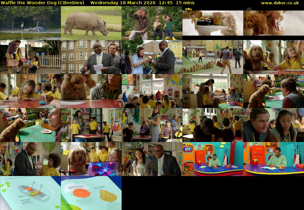 Waffle the Wonder Dog (CBeebies) Wednesday 18 March 2026 12:45 - 13:00