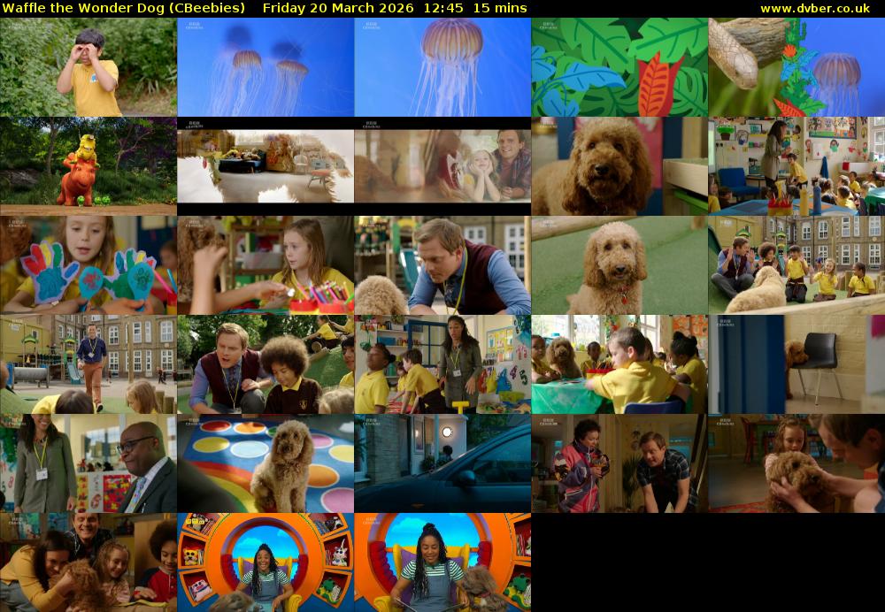 Waffle the Wonder Dog (CBeebies) Friday 20 March 2026 12:45 - 13:00