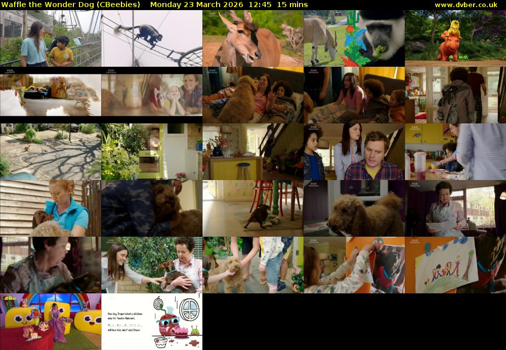Waffle the Wonder Dog (CBeebies) Monday 23 March 2026 12:45 - 13:00
