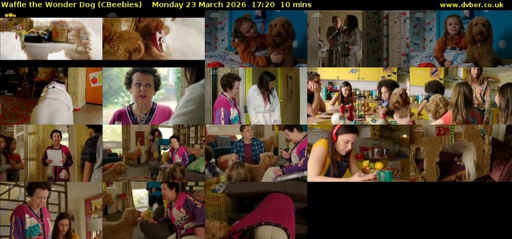 Waffle the Wonder Dog (CBeebies) Monday 23 March 2026 17:20 - 17:30