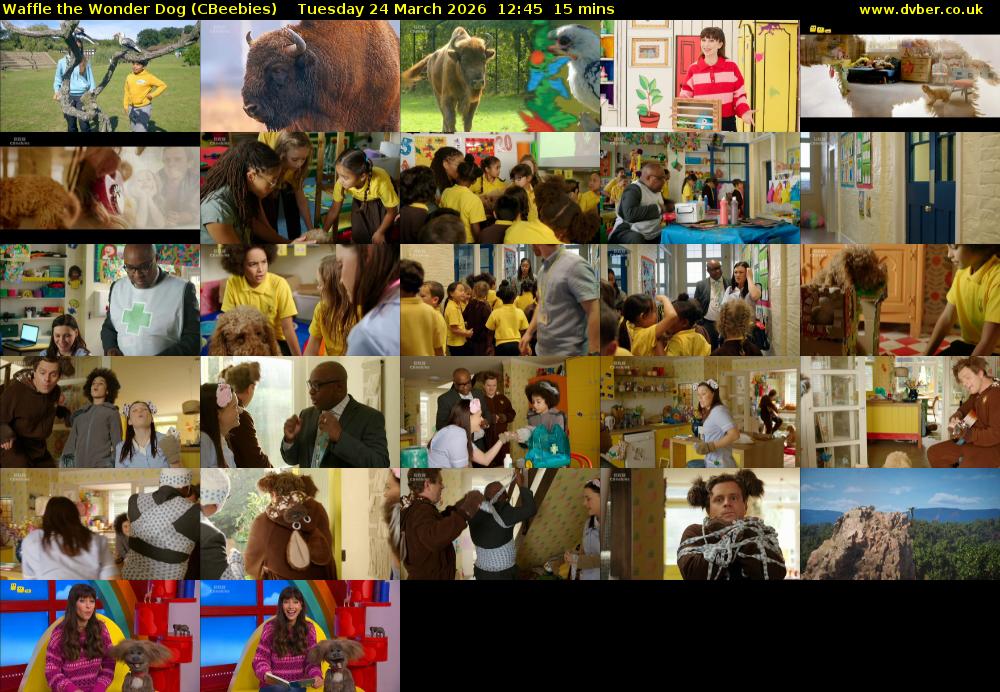 Waffle the Wonder Dog (CBeebies) Tuesday 24 March 2026 12:45 - 13:00