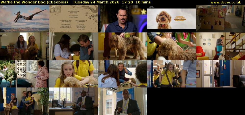 Waffle the Wonder Dog (CBeebies) Tuesday 24 March 2026 17:20 - 17:30