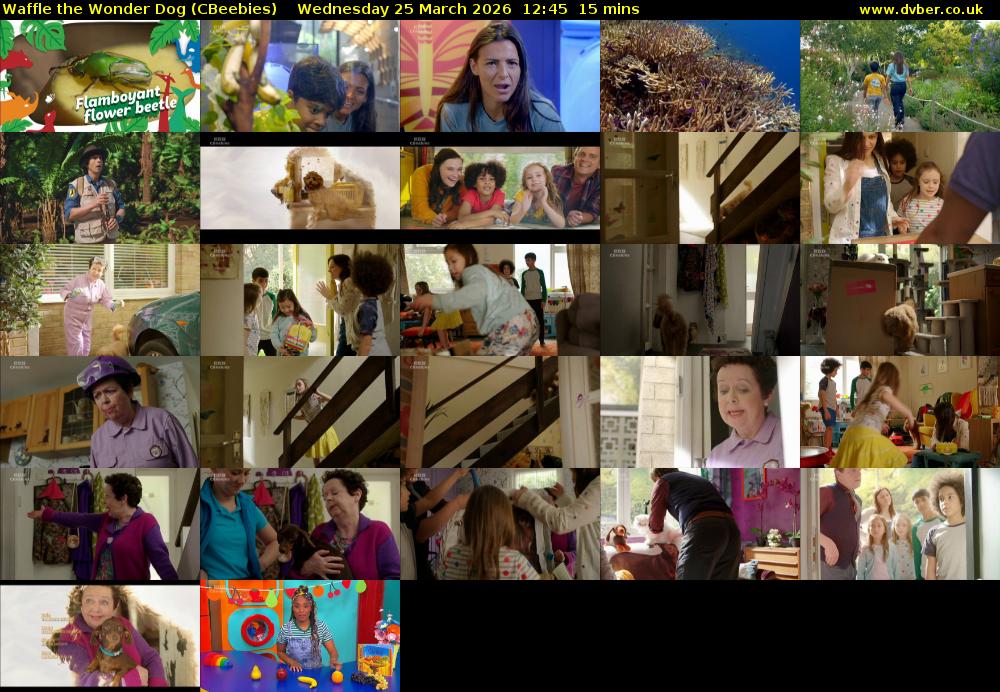 Waffle the Wonder Dog (CBeebies) Wednesday 25 March 2026 12:45 - 13:00