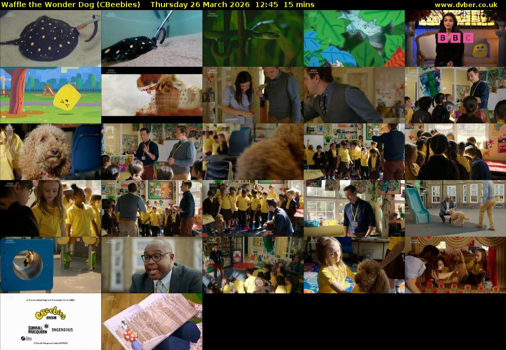 Waffle the Wonder Dog (CBeebies) Thursday 26 March 2026 12:45 - 13:00