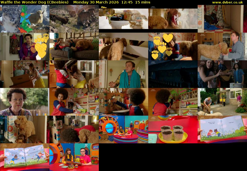 Waffle the Wonder Dog (CBeebies) Monday 30 March 2026 12:45 - 13:00