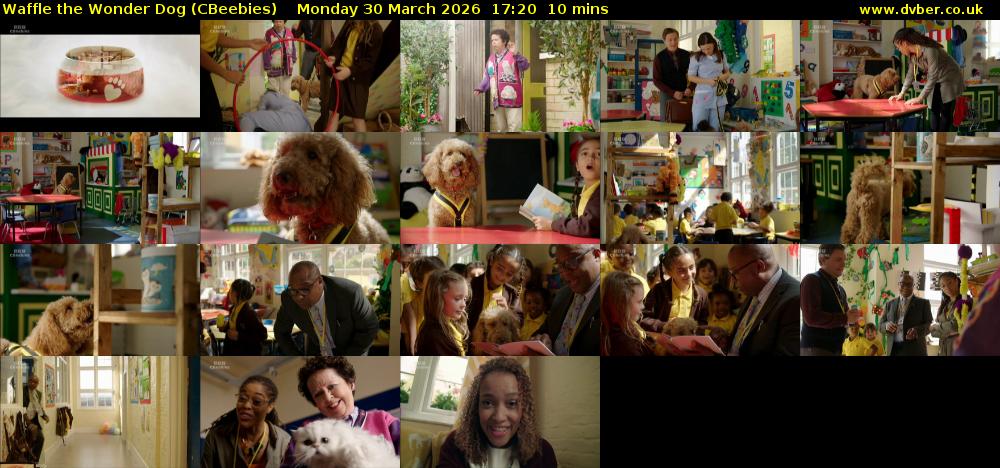 Waffle the Wonder Dog (CBeebies) Monday 30 March 2026 17:20 - 17:30