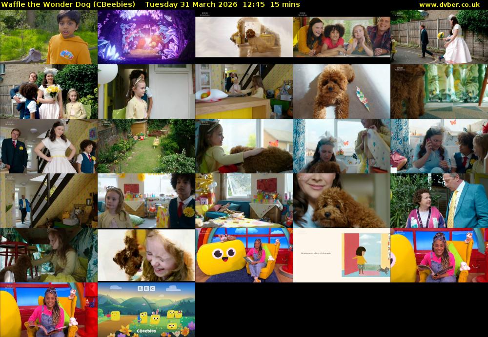Waffle the Wonder Dog (CBeebies) Tuesday 31 March 2026 12:45 - 13:00