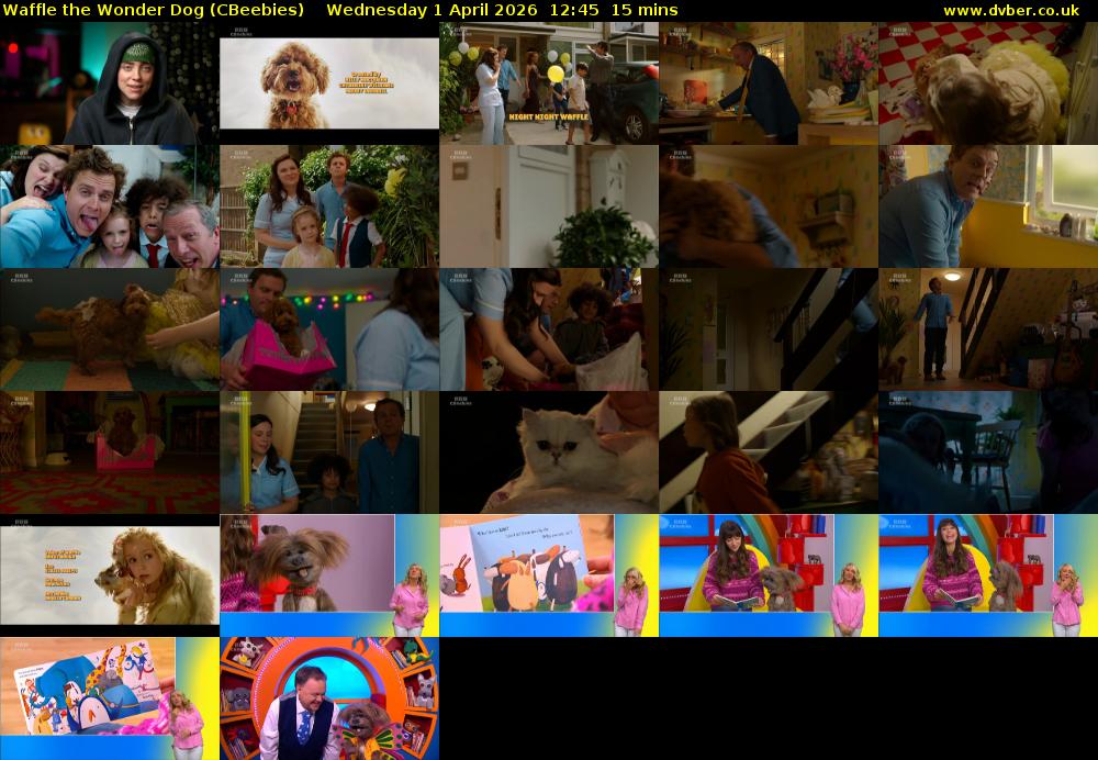 Waffle the Wonder Dog (CBeebies) Wednesday 1 April 2026 12:45 - 13:00