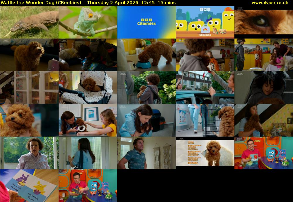 Waffle the Wonder Dog (CBeebies) Thursday 2 April 2026 12:45 - 13:00