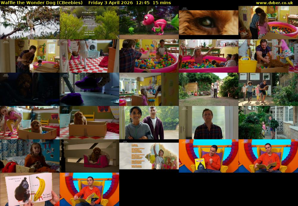 Waffle the Wonder Dog (CBeebies) Friday 3 April 2026 12:45 - 13:00
