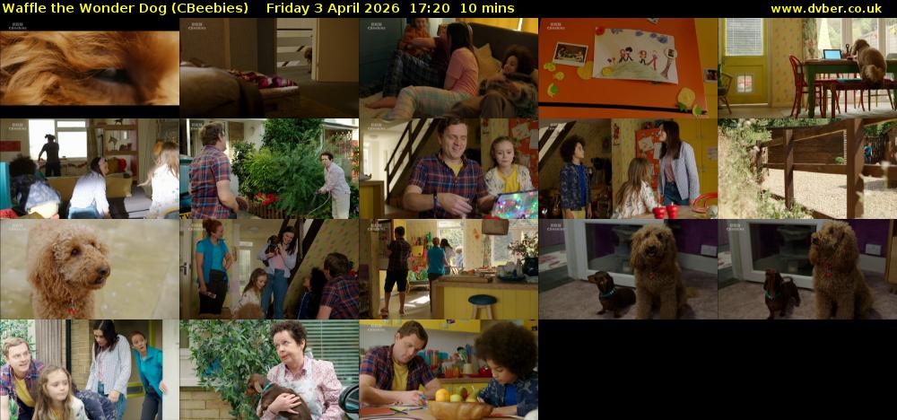 Waffle the Wonder Dog (CBeebies) Friday 3 April 2026 17:20 - 17:30