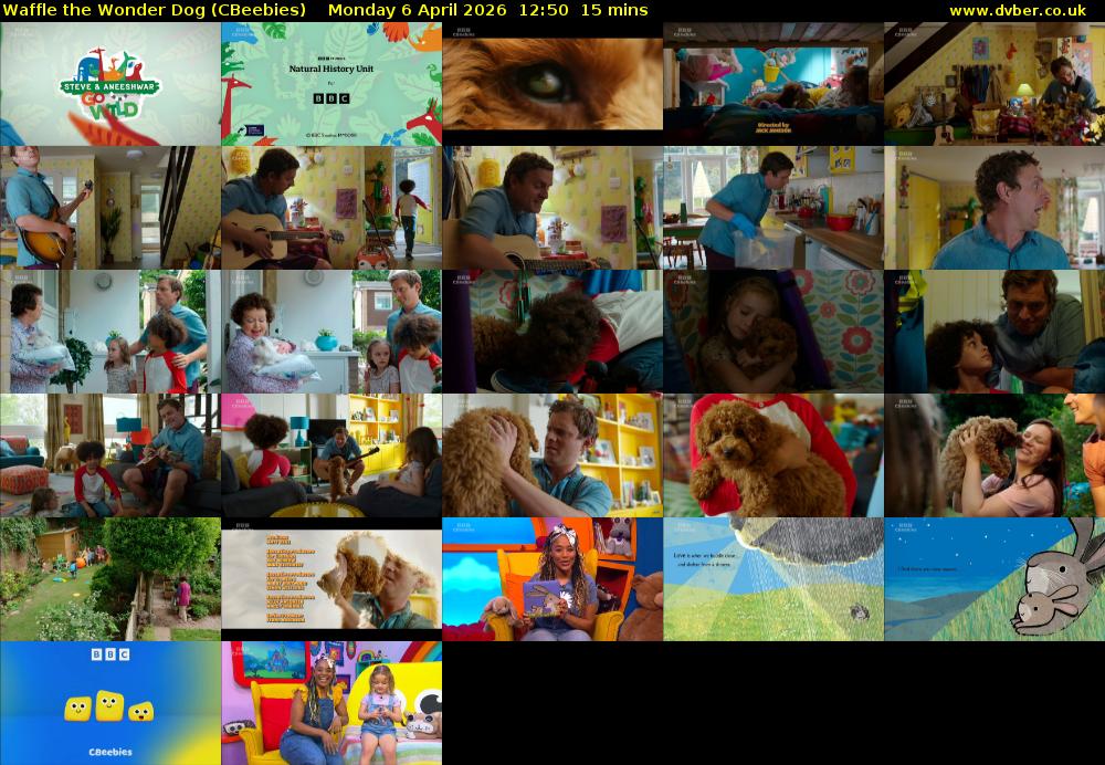 Waffle the Wonder Dog (CBeebies) Monday 6 April 2026 12:50 - 13:05