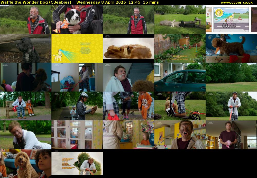 Waffle the Wonder Dog (CBeebies) Wednesday 8 April 2026 12:45 - 13:00