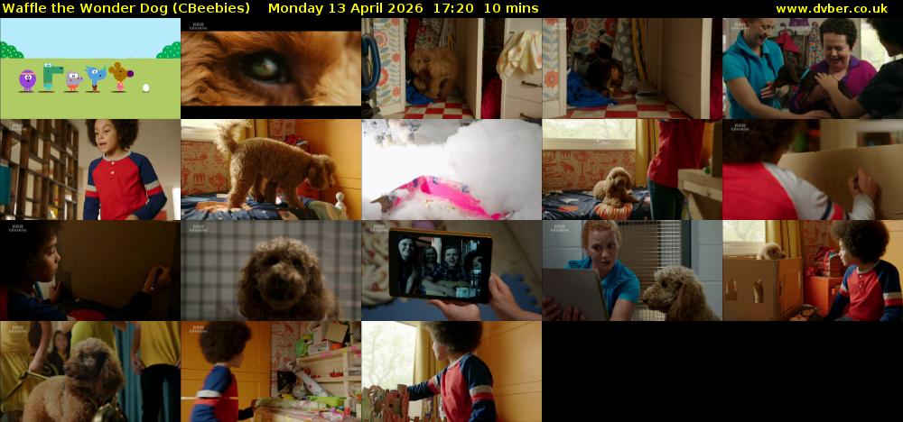 Waffle the Wonder Dog (CBeebies) Monday 13 April 2026 17:20 - 17:30