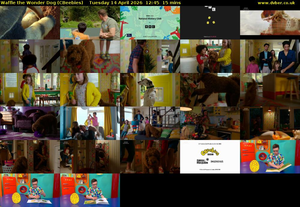 Waffle the Wonder Dog (CBeebies) Tuesday 14 April 2026 12:45 - 13:00