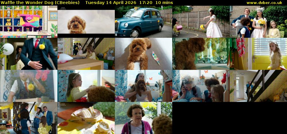 Waffle the Wonder Dog (CBeebies) Tuesday 14 April 2026 17:20 - 17:30