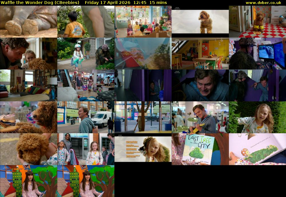 Waffle the Wonder Dog (CBeebies) Friday 17 April 2026 12:45 - 13:00