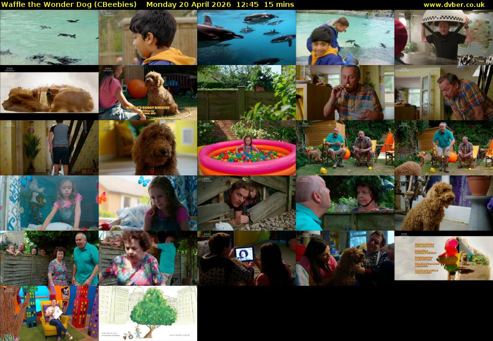 Waffle the Wonder Dog (CBeebies) Monday 20 April 2026 12:45 - 13:00