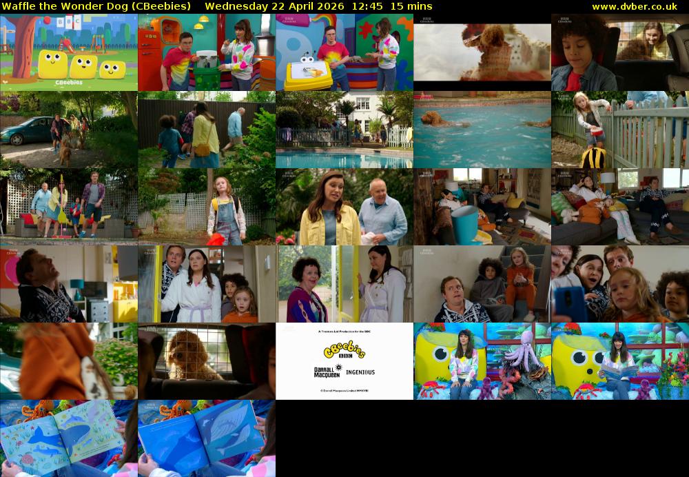 Waffle the Wonder Dog (CBeebies) Wednesday 22 April 2026 12:45 - 13:00