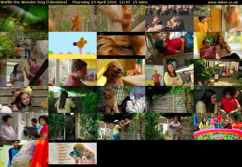 Waffle the Wonder Dog (CBeebies) Thursday 23 April 2026 12:45 - 13:00
