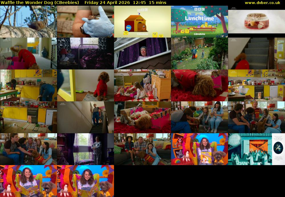 Waffle the Wonder Dog (CBeebies) Friday 24 April 2026 12:45 - 13:00