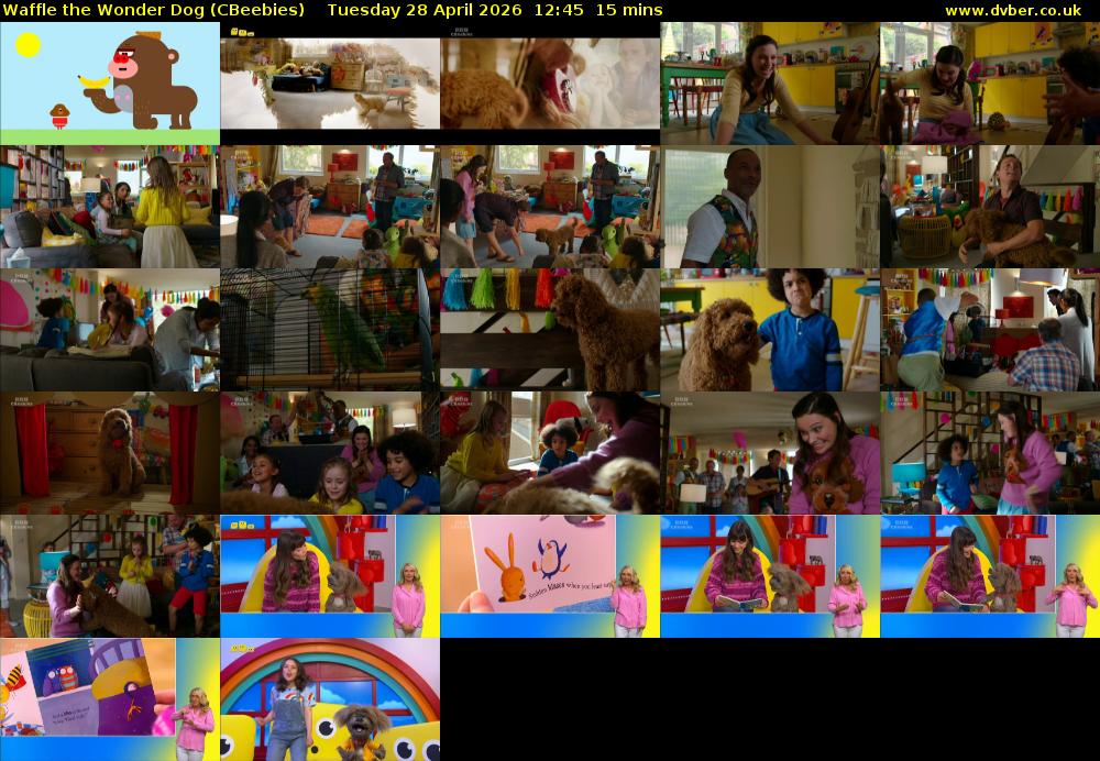 Waffle the Wonder Dog (CBeebies) Tuesday 28 April 2026 12:45 - 13:00