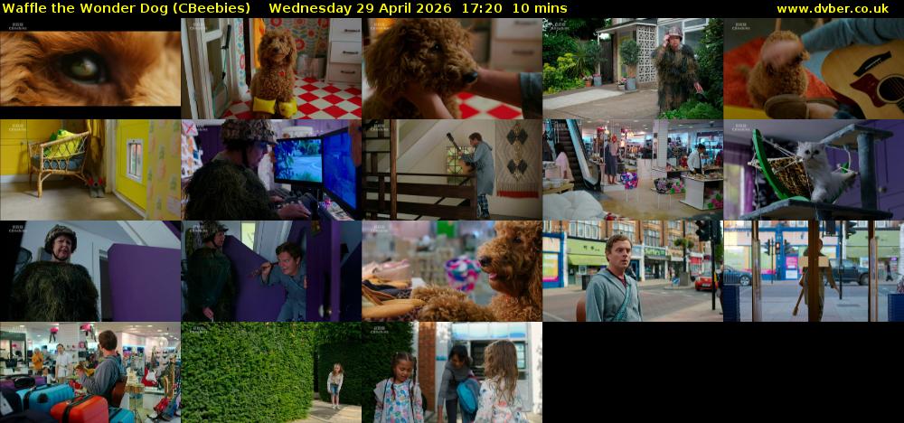 Waffle the Wonder Dog (CBeebies) Wednesday 29 April 2026 17:20 - 17:30