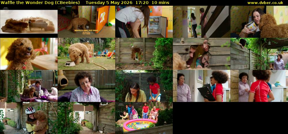 Waffle the Wonder Dog (CBeebies) Tuesday 5 May 2026 17:20 - 17:30