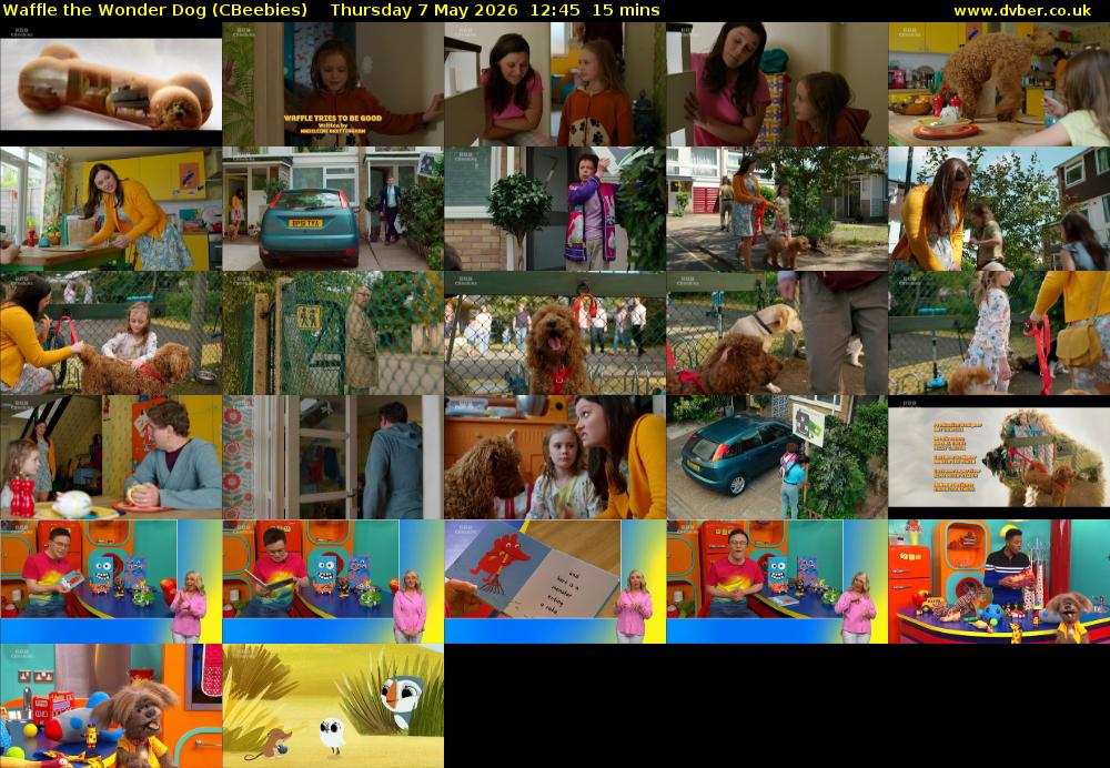 Waffle the Wonder Dog (CBeebies) Thursday 7 May 2026 12:45 - 13:00