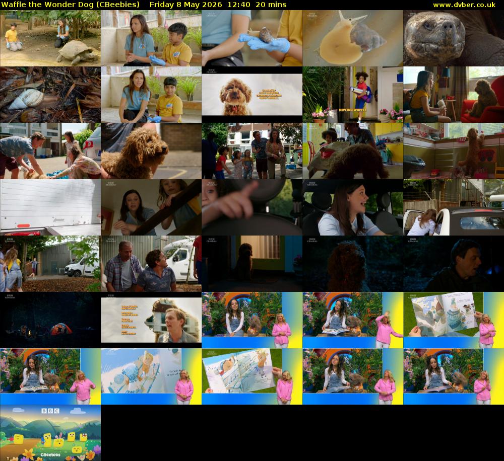 Waffle the Wonder Dog (CBeebies) Friday 8 May 2026 12:40 - 13:00