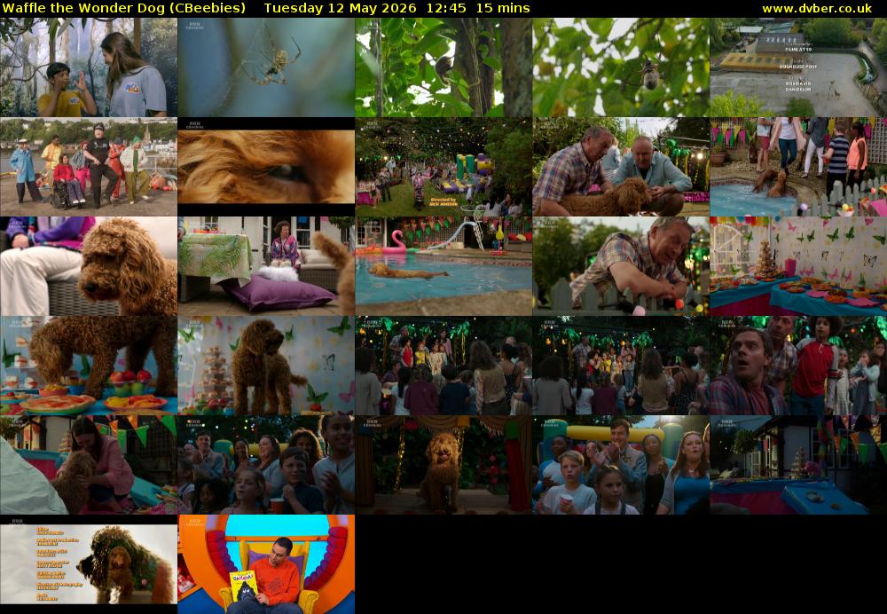 Waffle the Wonder Dog (CBeebies) Tuesday 12 May 2026 12:45 - 13:00