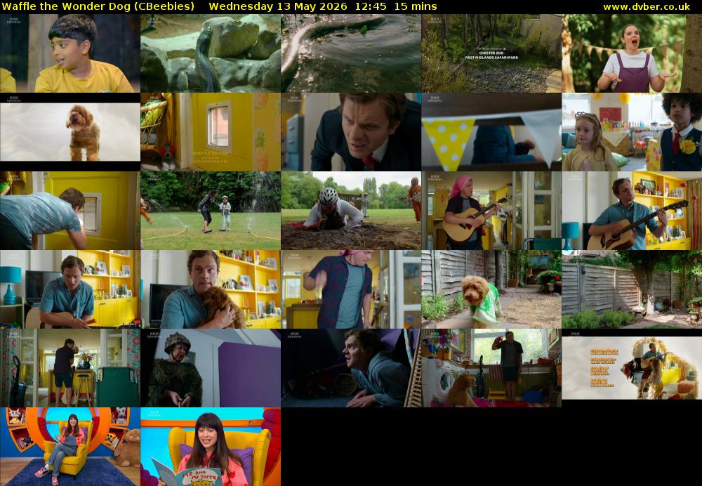Waffle the Wonder Dog (CBeebies) Wednesday 13 May 2026 12:45 - 13:00