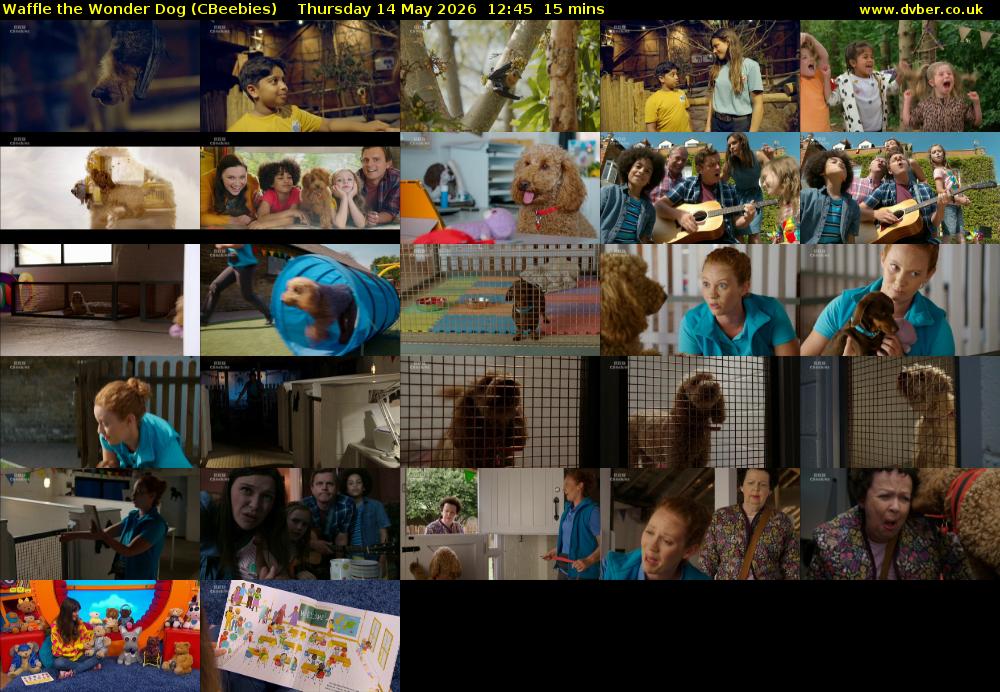 Waffle the Wonder Dog (CBeebies) Thursday 14 May 2026 12:45 - 13:00