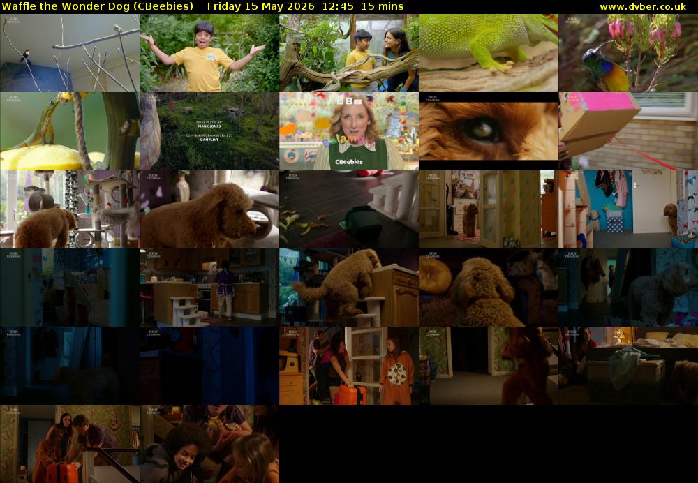 Waffle the Wonder Dog (CBeebies) Friday 15 May 2026 12:45 - 13:00