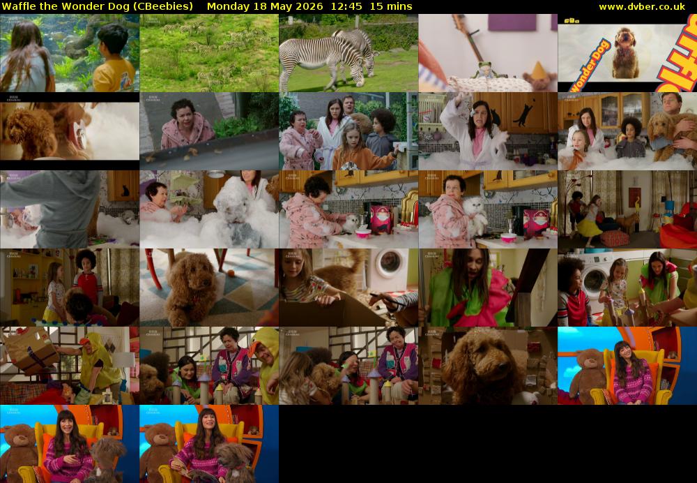 Waffle the Wonder Dog (CBeebies) Monday 18 May 2026 12:45 - 13:00