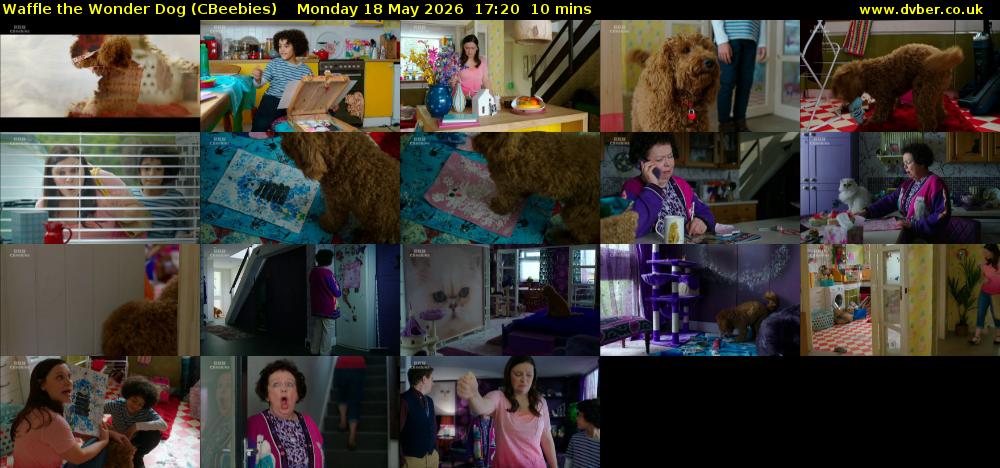 Waffle the Wonder Dog (CBeebies) Monday 18 May 2026 17:20 - 17:30