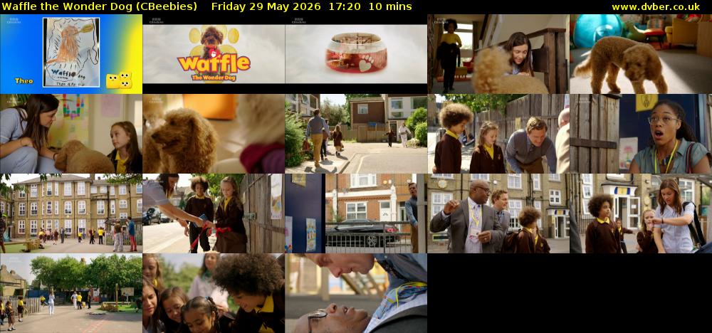 Waffle the Wonder Dog (CBeebies) Friday 29 May 2026 17:20 - 17:30