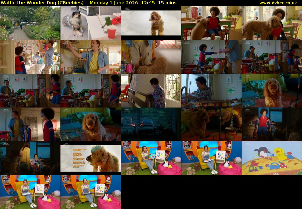 Waffle the Wonder Dog (CBeebies) Monday 1 June 2026 12:45 - 13:00