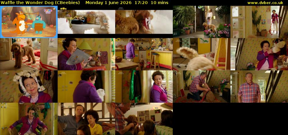 Waffle the Wonder Dog (CBeebies) Monday 1 June 2026 17:20 - 17:30