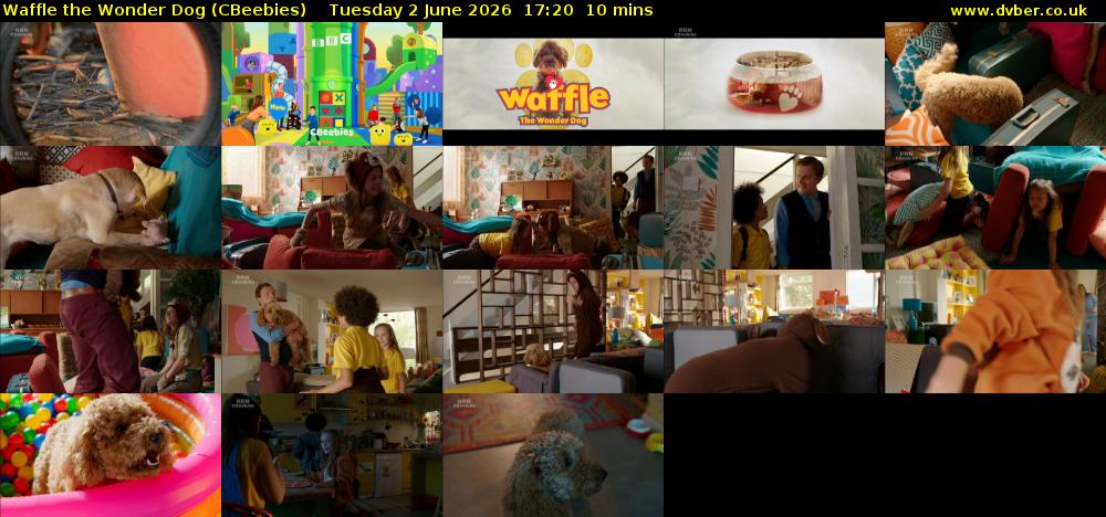 Waffle the Wonder Dog (CBeebies) Tuesday 2 June 2026 17:20 - 17:30