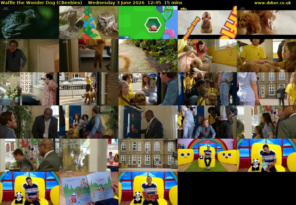 Waffle the Wonder Dog (CBeebies) Wednesday 3 June 2026 12:45 - 13:00