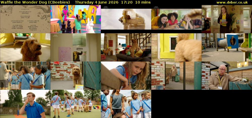 Waffle the Wonder Dog (CBeebies) Thursday 4 June 2026 17:20 - 17:30