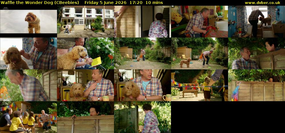 Waffle the Wonder Dog (CBeebies) Friday 5 June 2026 17:20 - 17:30