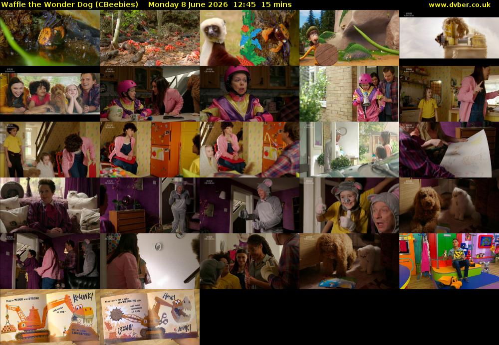 Waffle the Wonder Dog (CBeebies) Monday 8 June 2026 12:45 - 13:00