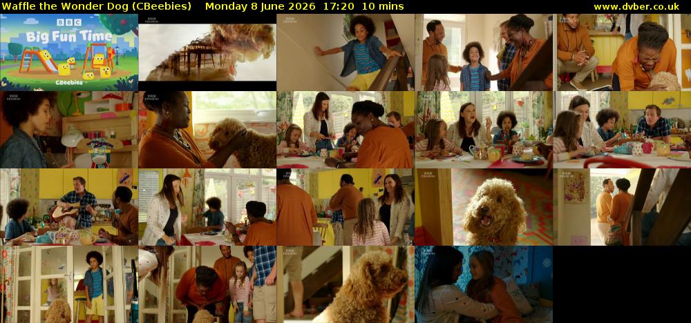 Waffle the Wonder Dog (CBeebies) Monday 8 June 2026 17:20 - 17:30