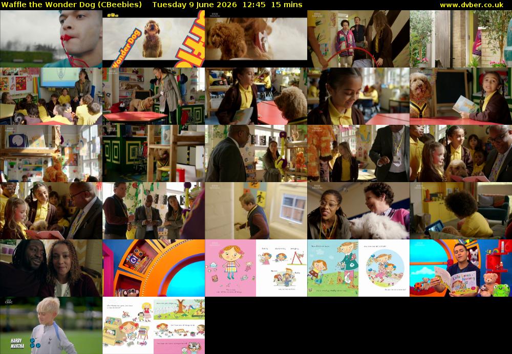 Waffle the Wonder Dog (CBeebies) Tuesday 9 June 2026 12:45 - 13:00