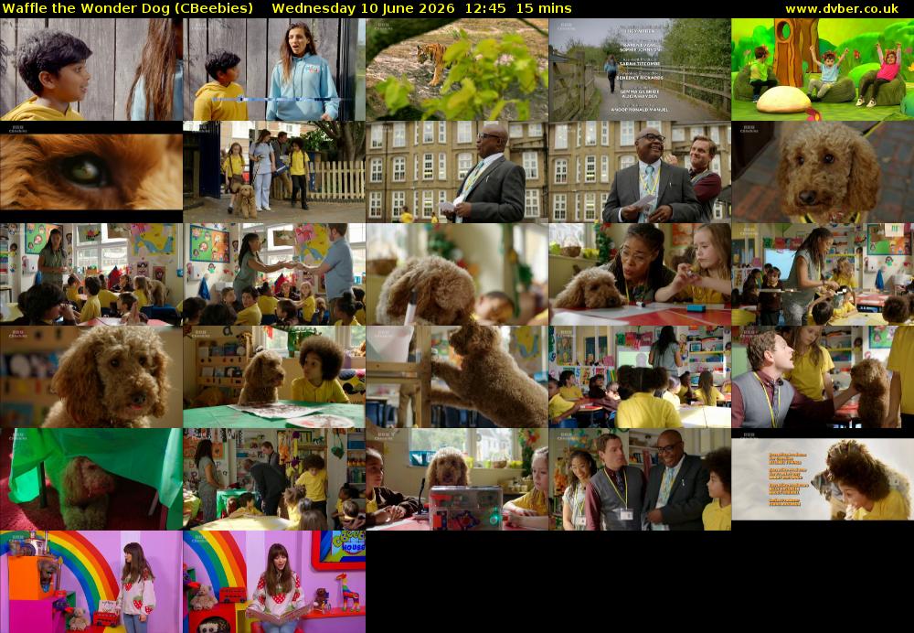 Waffle the Wonder Dog (CBeebies) Wednesday 10 June 2026 12:45 - 13:00