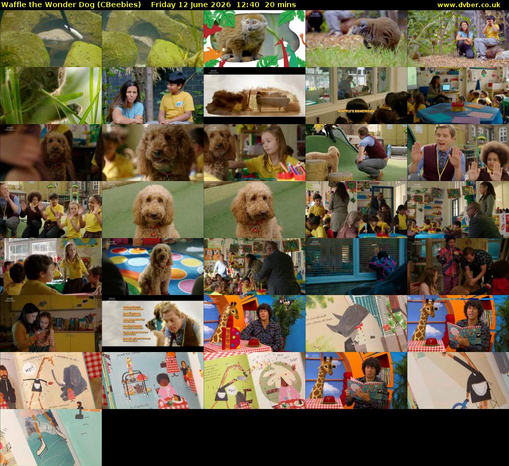 Waffle the Wonder Dog (CBeebies) Friday 12 June 2026 12:40 - 13:00